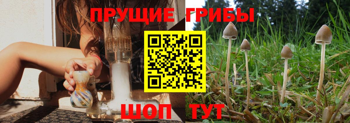 Галлюциногенные грибы ЛСД  Вход с VPN  Тара  Псилоцибиновые грибы мицелий 