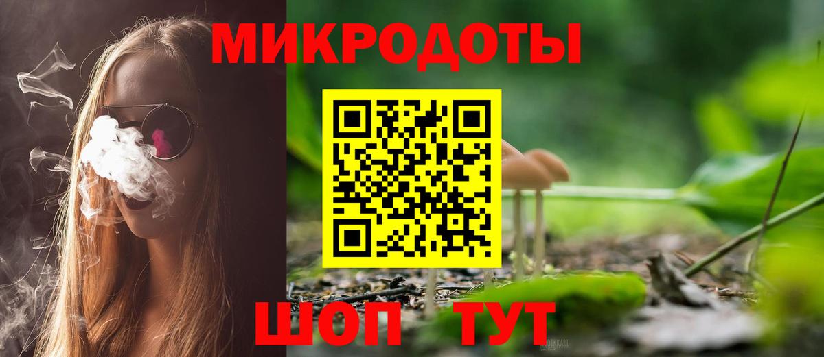 Псилоцибиновые грибы Cubensis Тара
