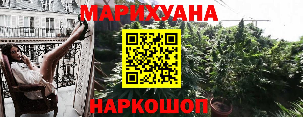 Марихуана Bruce Banner  Вход с VPN  Канабис SATIVA & INDICA  Тара  Марихуана гибрид 